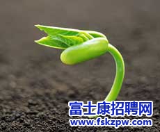 富士康鄭州廠區(qū)招聘官網(wǎng)：【員工文苑】習(xí)慣 